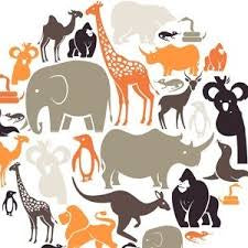 Animal Collection